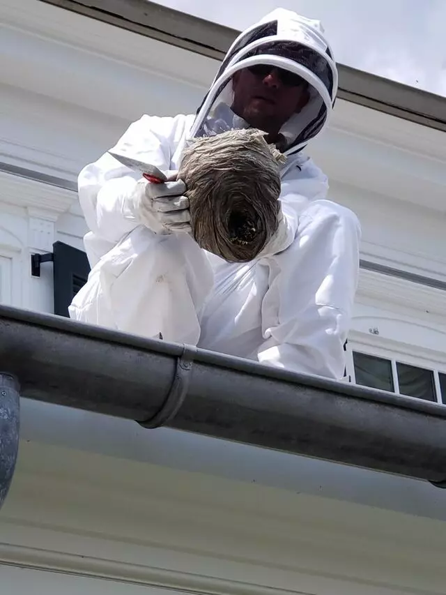 Rochester Pest Pro