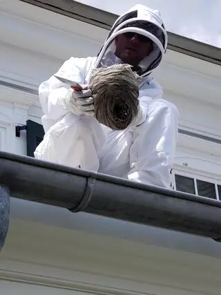 Rochester Pest Pro