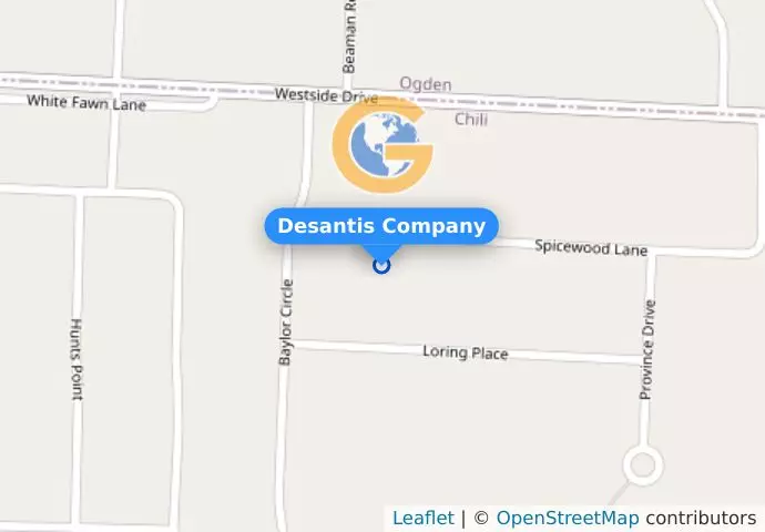 Desantis Company