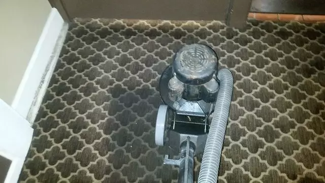 Ace Power Washing & Carpet Cleaning