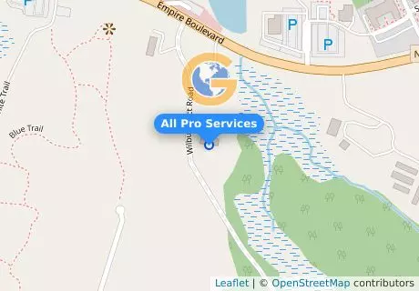 All Pro Services