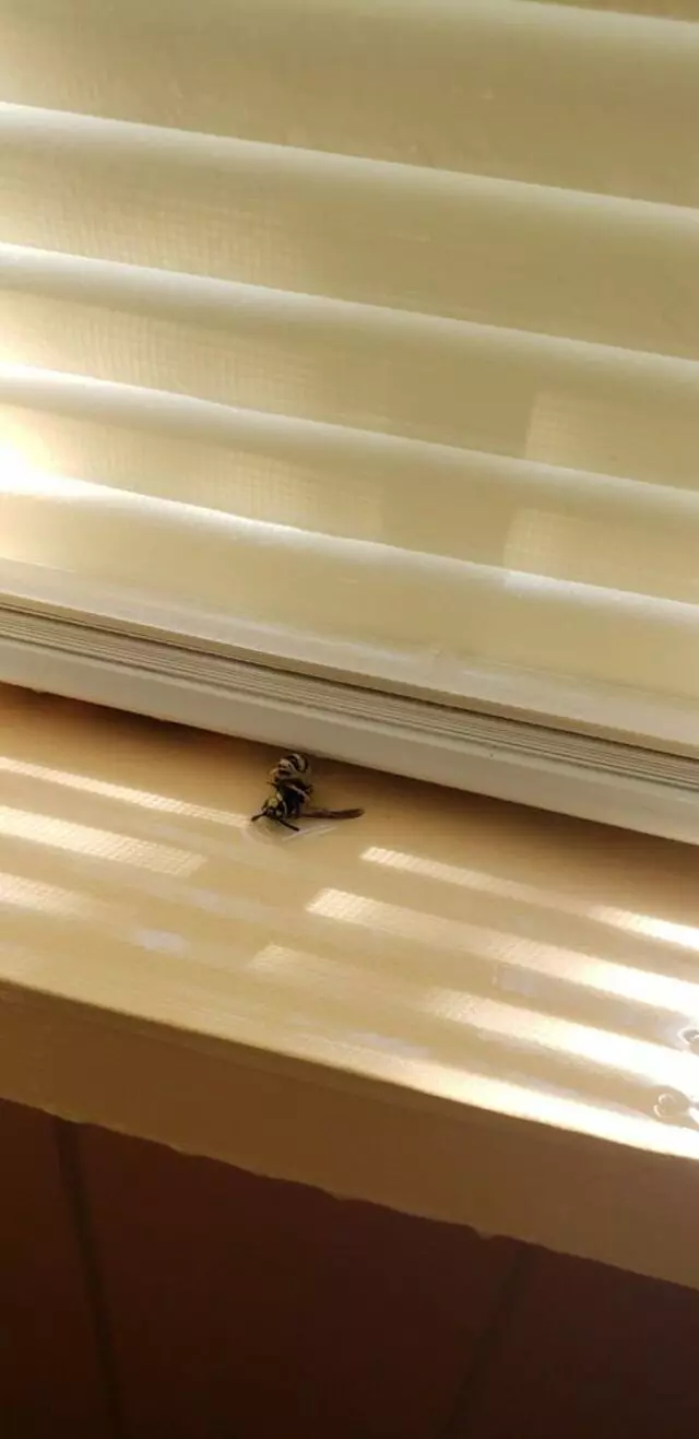 Global Exterminating