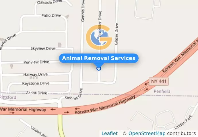 Animal Removal Services