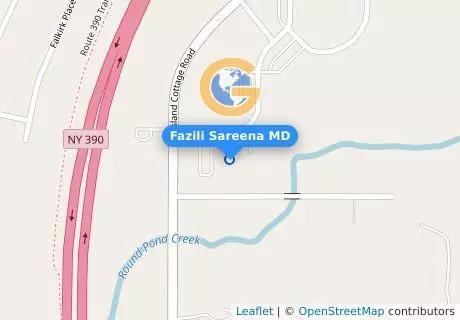 Fazili Sareena MD