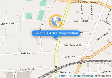 Silvana's Arize Corporation