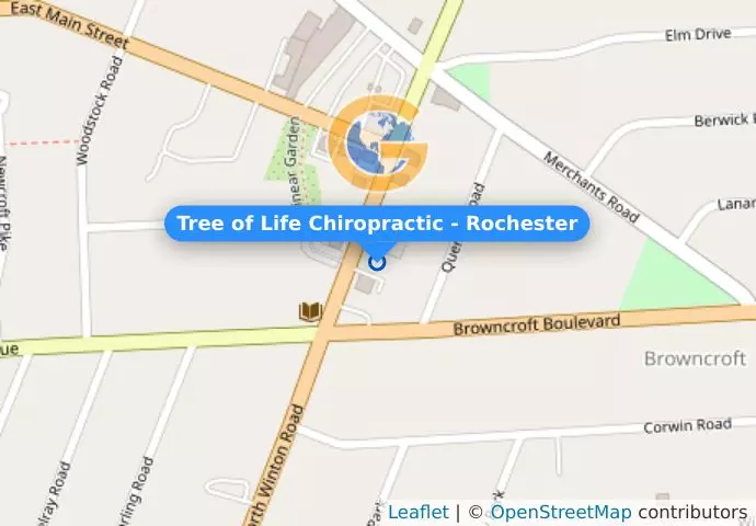 Tree of Life Chiropractic - Rochester