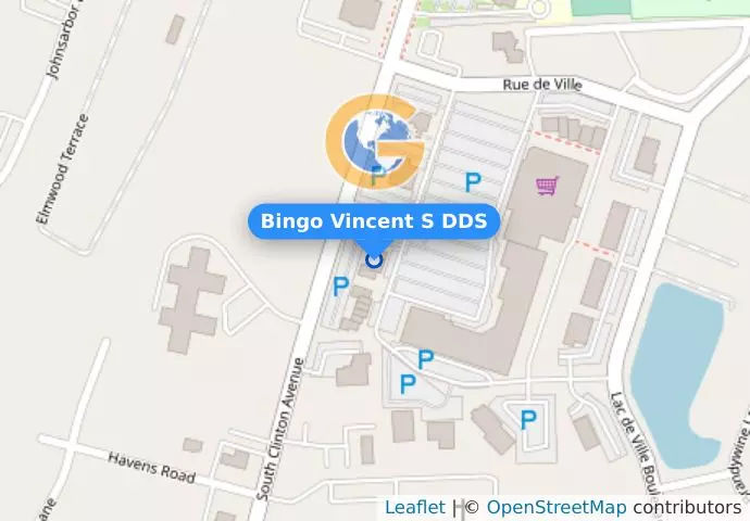 Bingo Vincent S DDS