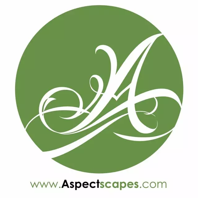 Aspect Scapes