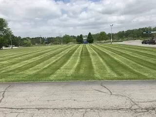 Proscape Lawn & Landscape