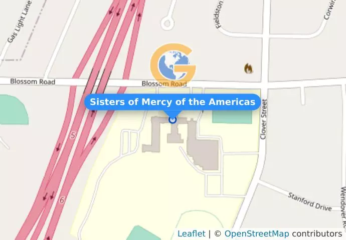 Sisters of Mercy of the Americas