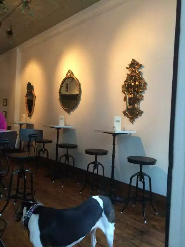 Apogee Wine Bar
