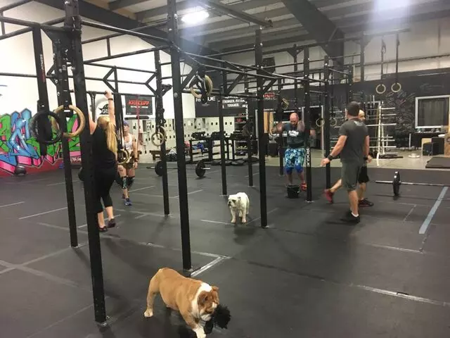 CrossFit Taproot