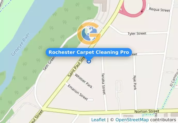 Rochester Carpet Cleaning Pro