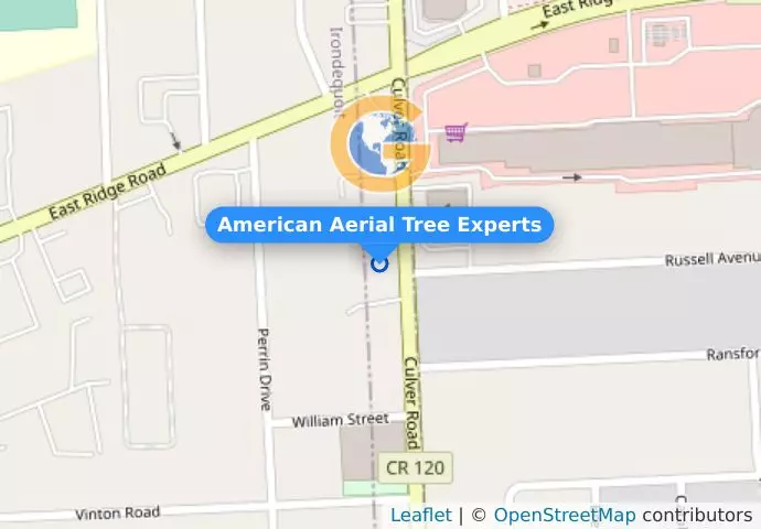 American Aerial Tree Experts