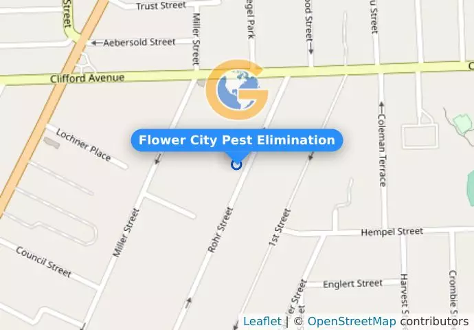 Flower City Pest Elimination