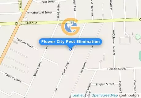 Flower City Pest Elimination