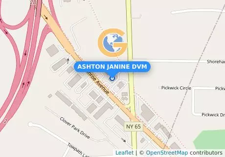 ASHTON JANINE DVM