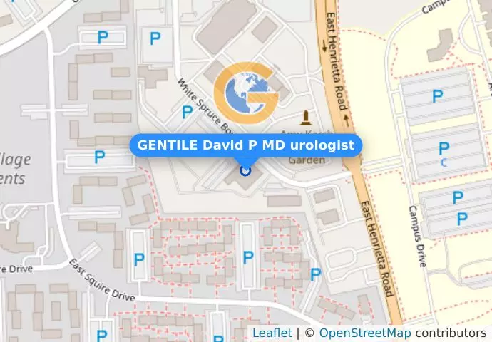 GENTILE David P MD urologist