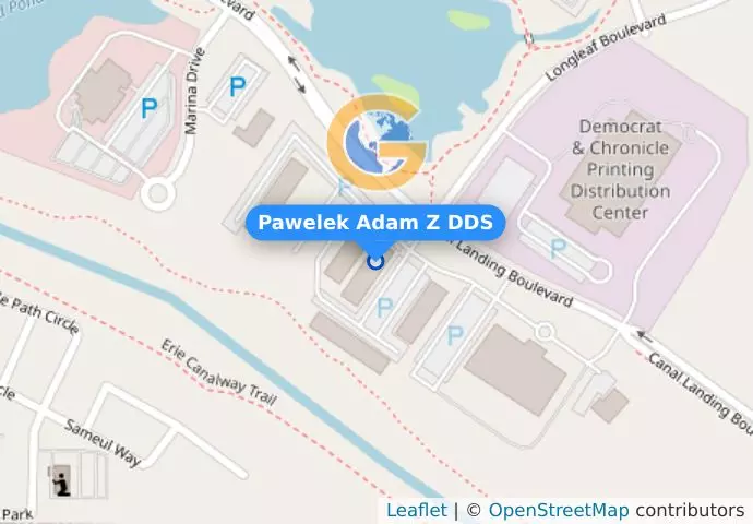 Pawelek Adam Z DDS
