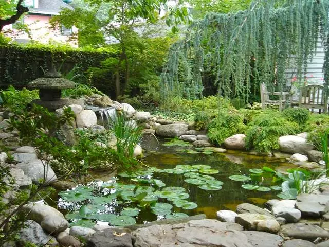 Acorn Ponds & Waterfalls