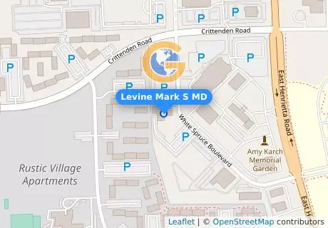 Levine Mark S MD