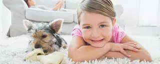 Aladdin’s Carpet Cleaning Rochester