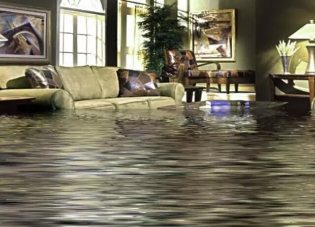 Aladdin’s Carpet Cleaning Rochester