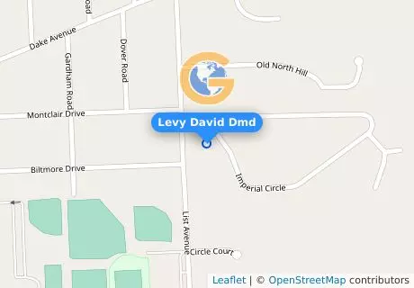 Levy David Dmd