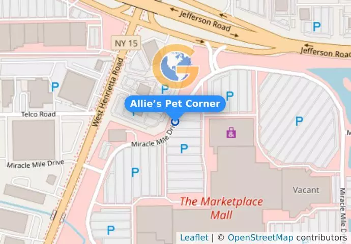 Allie’s Pet Corner