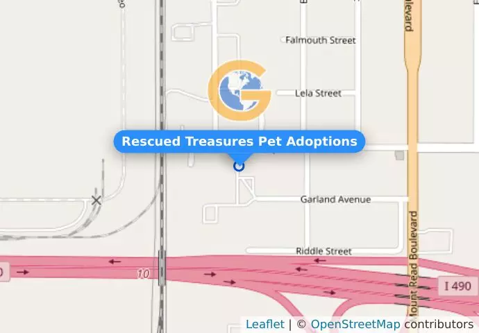 Rescued Treasures Pet Adoptions