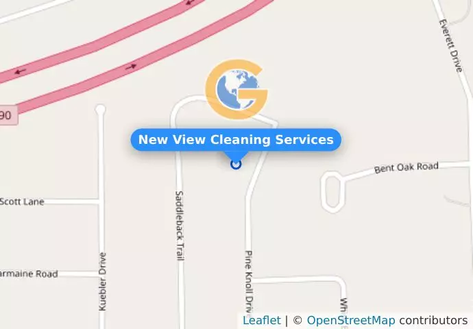 New View Cleaning Services