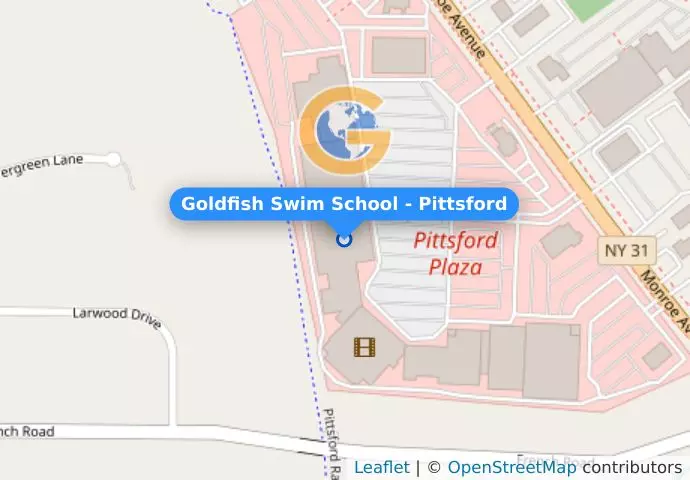 Goldfish Swim School - Pittsford