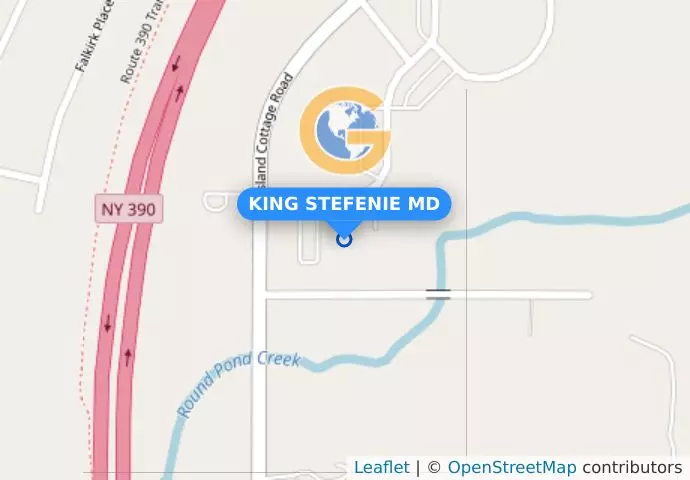 KING STEFENIE MD