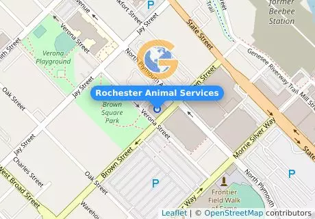 Rochester Animal Services