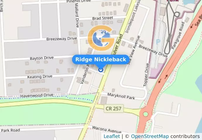 Ridge Nickleback