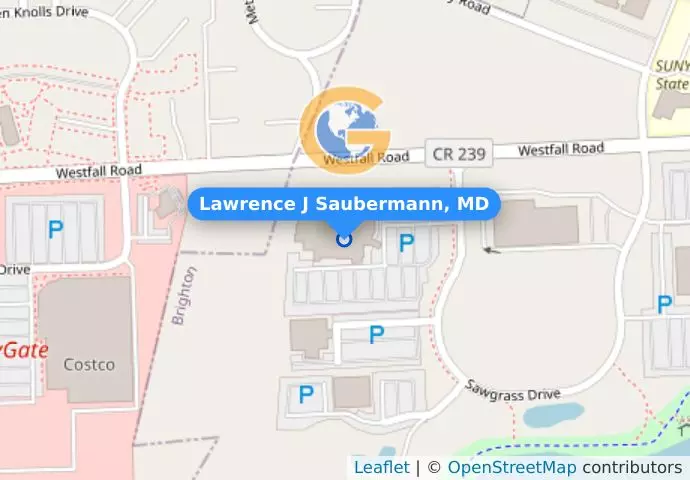 Lawrence J Saubermann, MD