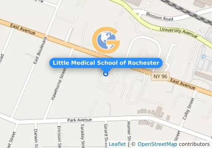 Little Medical School of Rochester
