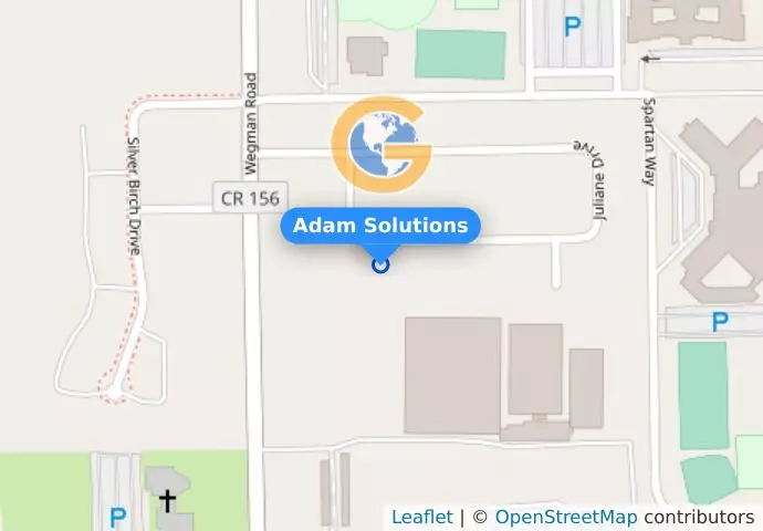 Adam Solutions