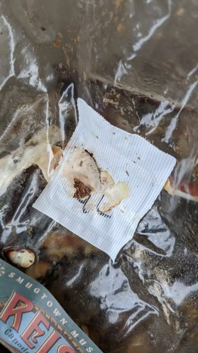 Smugtown Mushrooms