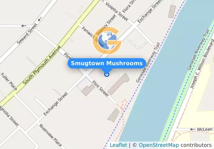 Smugtown Mushrooms