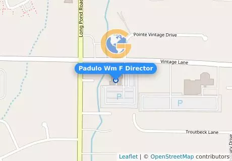 Padulo Wm F Director