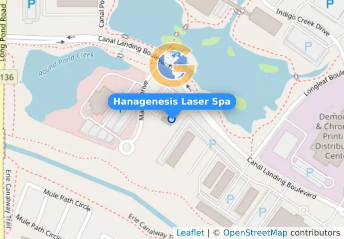 Hanagenesis Laser Spa