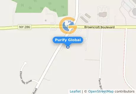 Purify Global