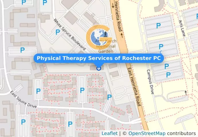 Physical Therapy Services of Rochester PC