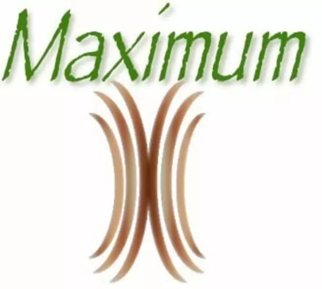 Maximum Wireless