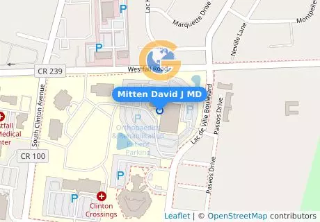 Mitten David J MD