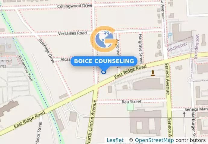 BOICE COUNSELING