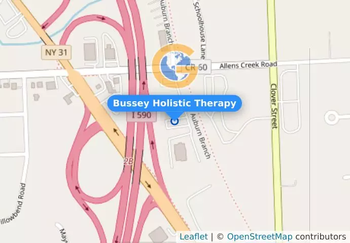 Bussey Holistic Therapy