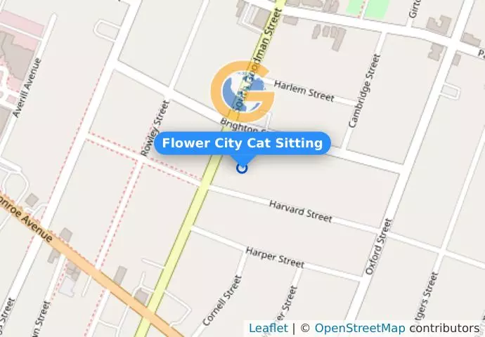 Flower City Cat Sitting