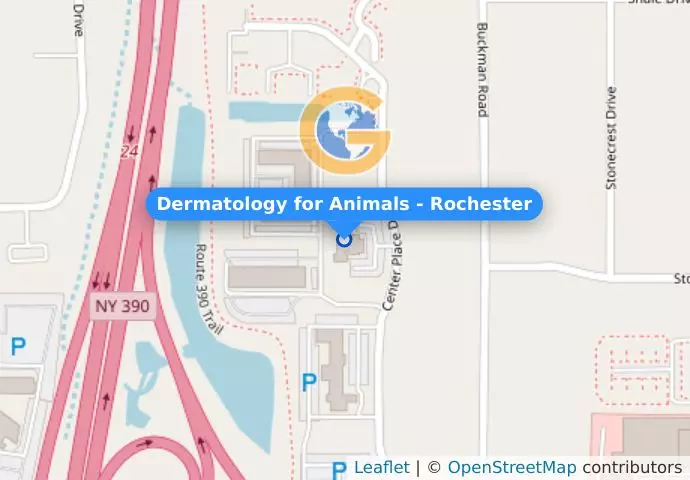 Dermatology for Animals - Rochester